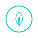 MongoDB icon