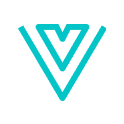 Vue icon